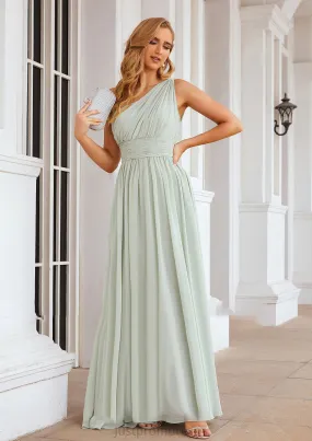 A-line One-Shoulder Sleeveless Chiffon Long/Floor-Length Bridesmaid Dresses With Pleated Brenda HHP0025382