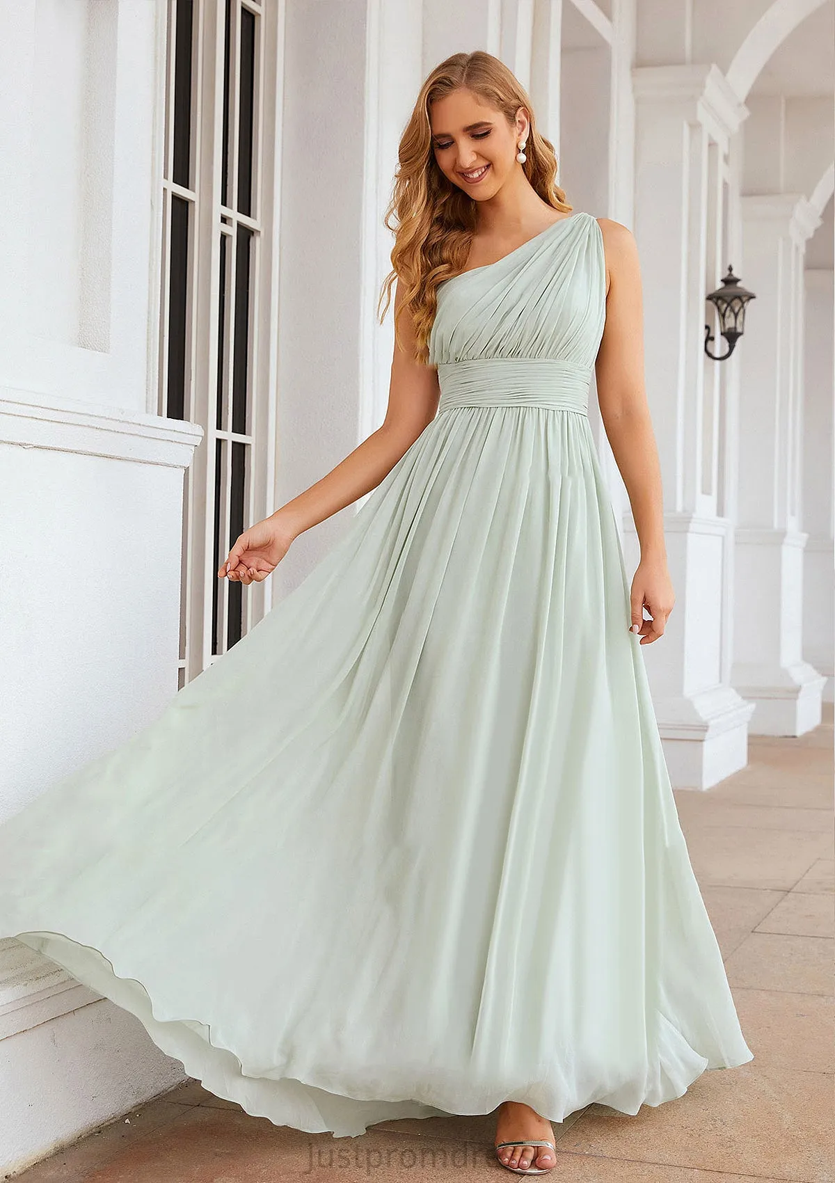 A-line One-Shoulder Sleeveless Chiffon Long/Floor-Length Bridesmaid Dresses With Pleated Brenda HHP0025382