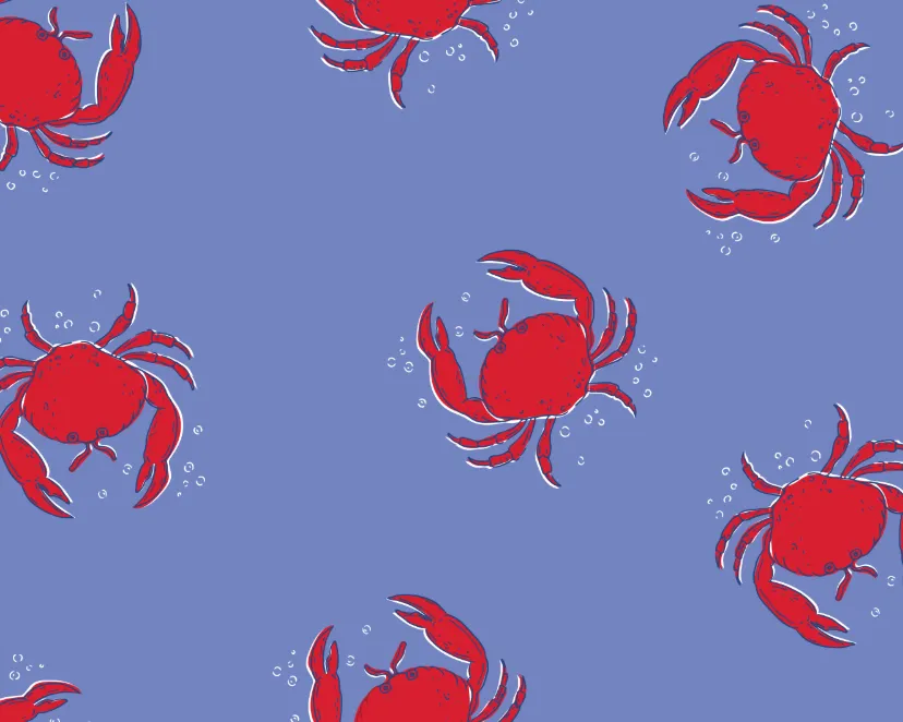 Compression Swim Shorts - Coastal Crab